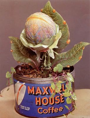 a potted plant sitting on top of a table next to a sign that says maxvit house