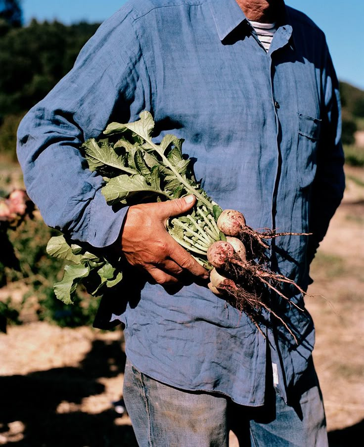 a man holding up some type of plant with roots in it's hands and wearing a blue shirt