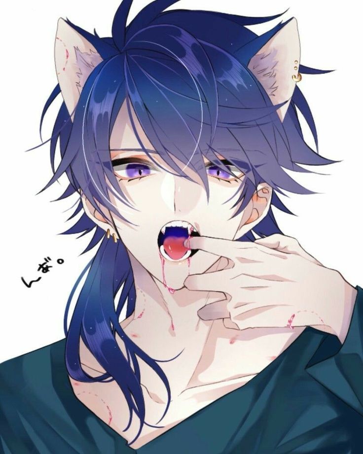 Regard Animal, Anime Cat Boy, Neko Boy, Persona Anime, Cat Boy, Boy Cat, Male Character, Cat Boys, Anime Wolf