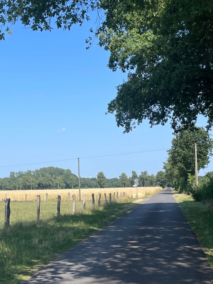 an empty country road in the middle of a field with trees and grass on both sides