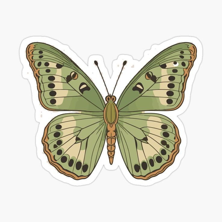 a green butterfly sticker on a white background