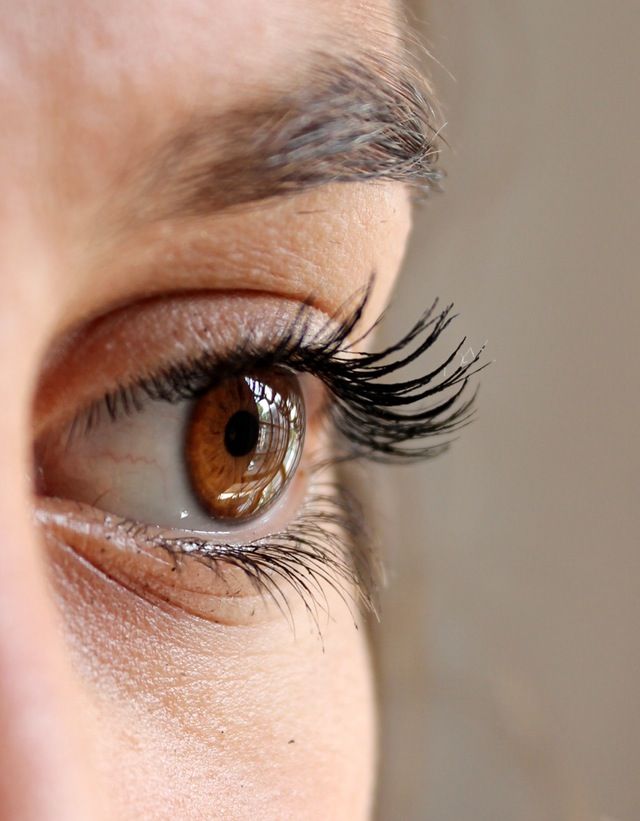 Choosing the Right Eyelash Growth Products Eye Exercises, Vision Eye, Increase Blog Traffic, Pinterest Images, Under Eye Bags, Eye Photography, Eye Doctor, Eyelash Growth, Human Eye