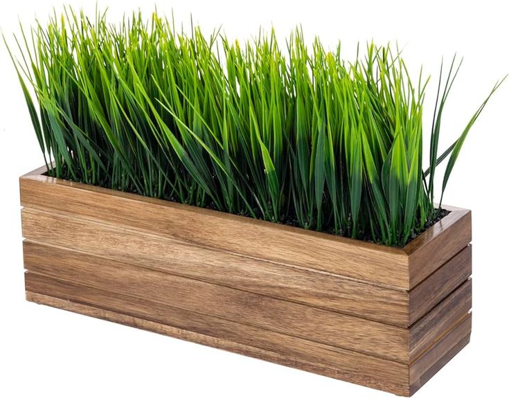 a wooden planter with grass growing out of it