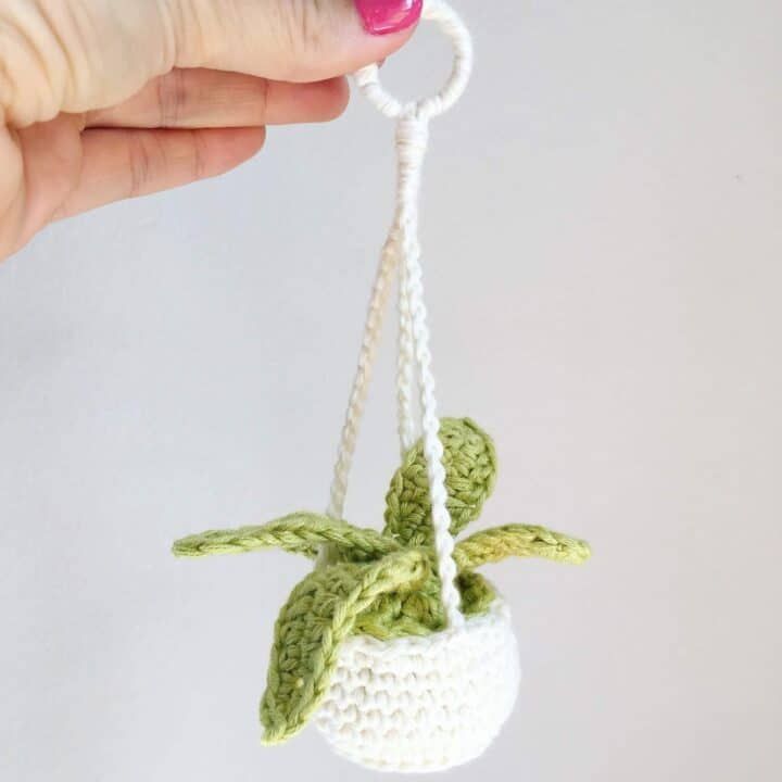 a crocheted plant hanging from a white string with a green leaf on it