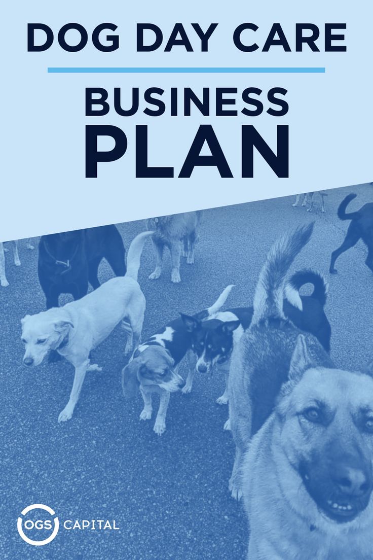 dog day care business plan with dogs on the ground and in front of them,