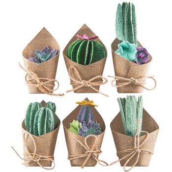 six different types of succulents wrapped in brown paper