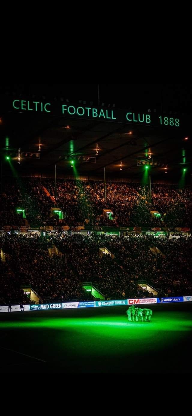 an illuminated soccer field at night with fans in the stands