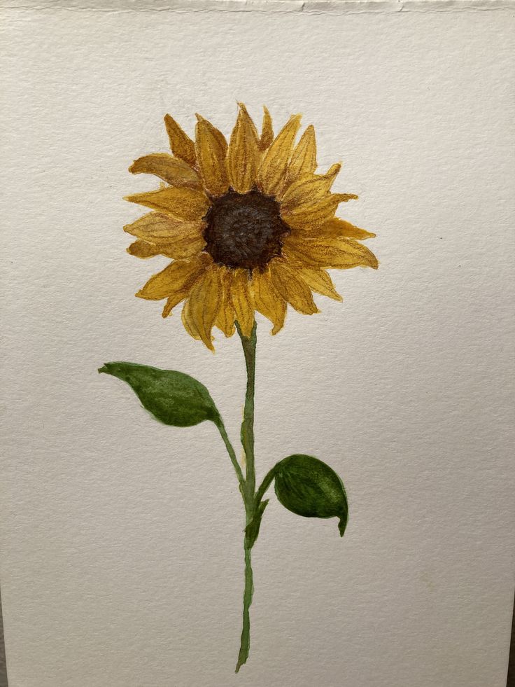 a drawing of a sunflower with green leaves