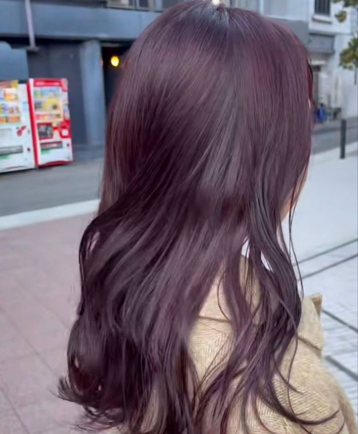 Cool Plum Hair Color, Cute Hair Colors For Brown Hair, Global Grape Hair, Violet Dark Hair, Cassis Purple Hair, Korean Hair Color Purple, Chocolate Lavender Hair Color, Violet Hair Colors Purple, Cool Toned Purple Hair