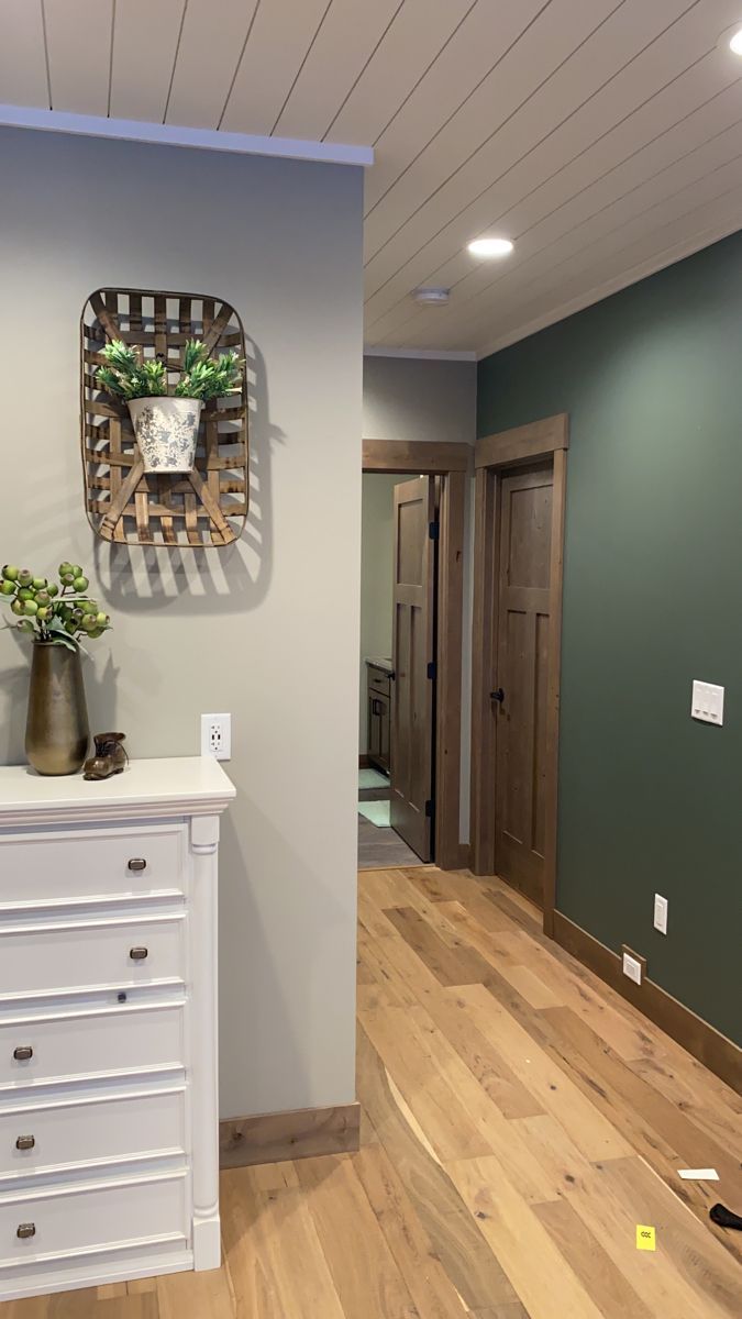 Sherwin Williams Pewter Green and Fawn Brindle Paint Color for a cozy Minnesota basement Sherwin Williams Pewter Green, Fawn Brindle, Gray Basement, Basement Colors, Basement Paint Colors, Pewter Green, Basement Makeover, Room Curtains, Paint Colors For Living Room