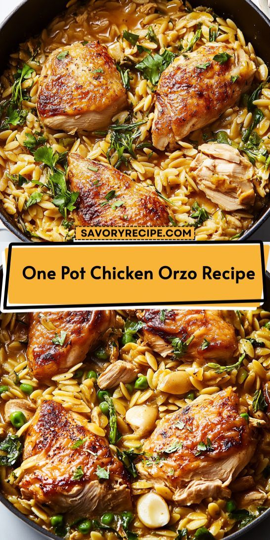 Want to impress your family with a delightful Mediterranean dinner? This One Pot Chicken Orzo Recipe is not only tasty but also incredibly easy to make. With minimal cleanup, it’s perfect for busy nights. Be sure to save this recipe for a quick and flavorful meal option! Chicken And Mushroom Orzo, One Pot Chicken Orzo, Mushroom Orzo, Creamy Orzo, Orzo Recipe, Chicken Mushrooms, Chicken And Mushroom, Orzo Recipes, Chicken Orzo