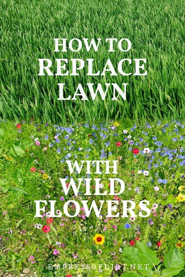 the cover of how to replace lawn with wild flowers