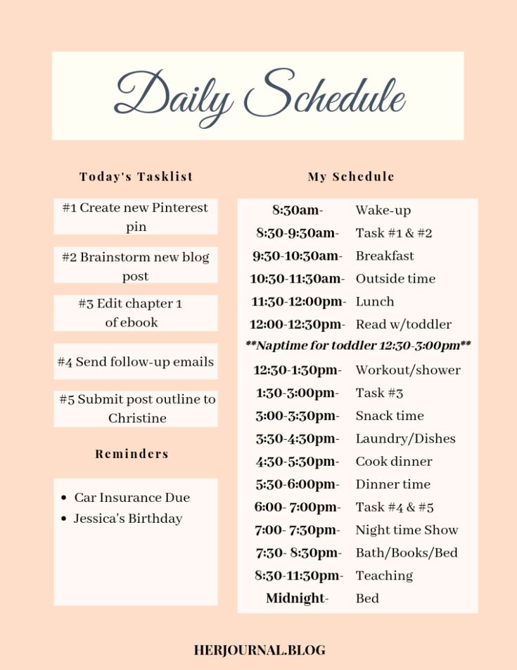 a pink and white flyer with information about daily schedules for the upcoming school year