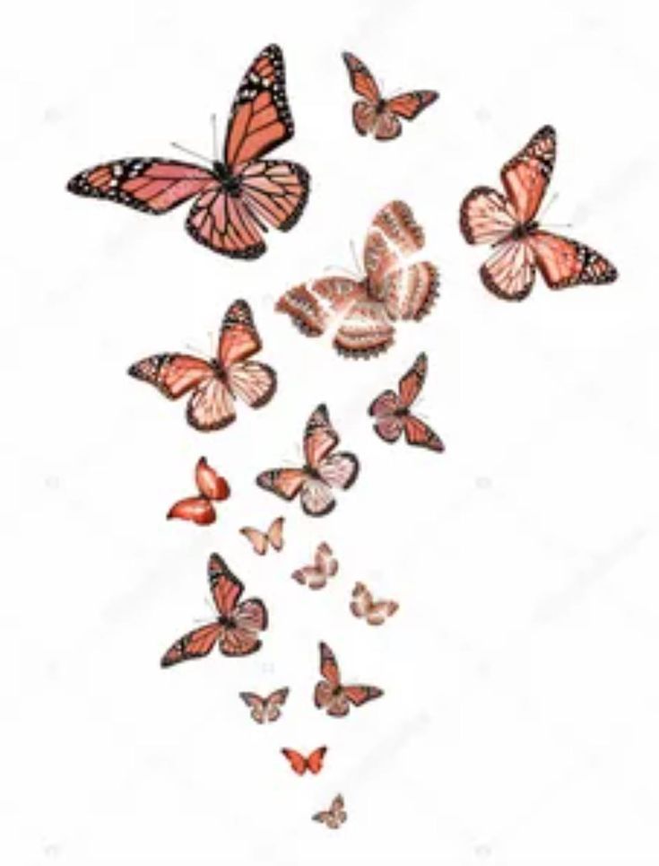 a bunch of butterflies flying in the air