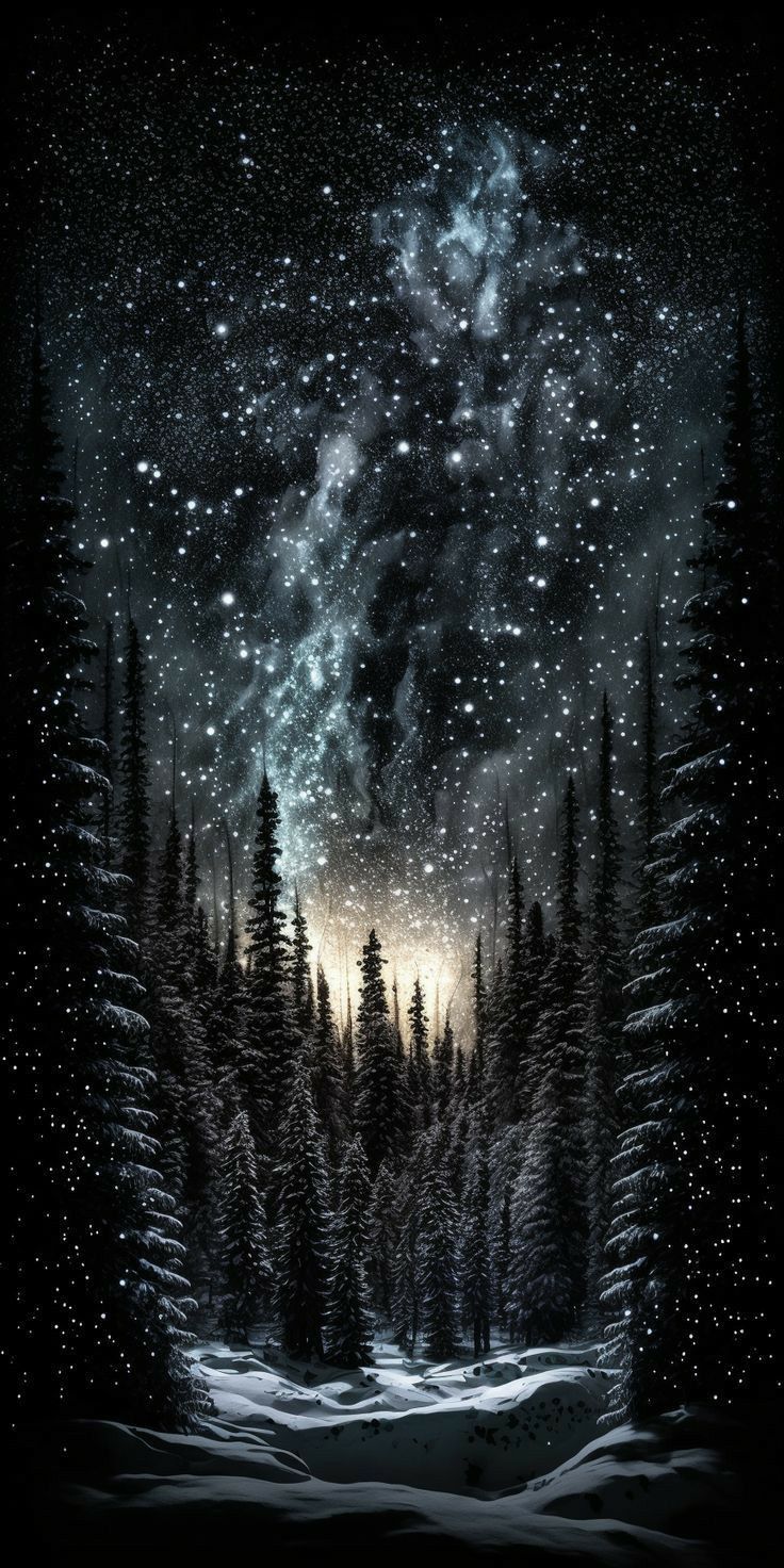 the night sky is filled with stars and trees