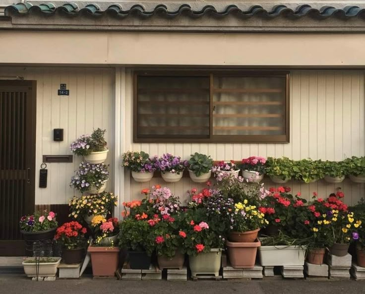 many potted flowers are on the outside of a building