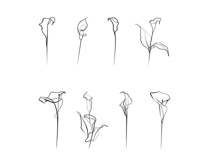 six different types of flowers are shown in black and white, each with one single flower