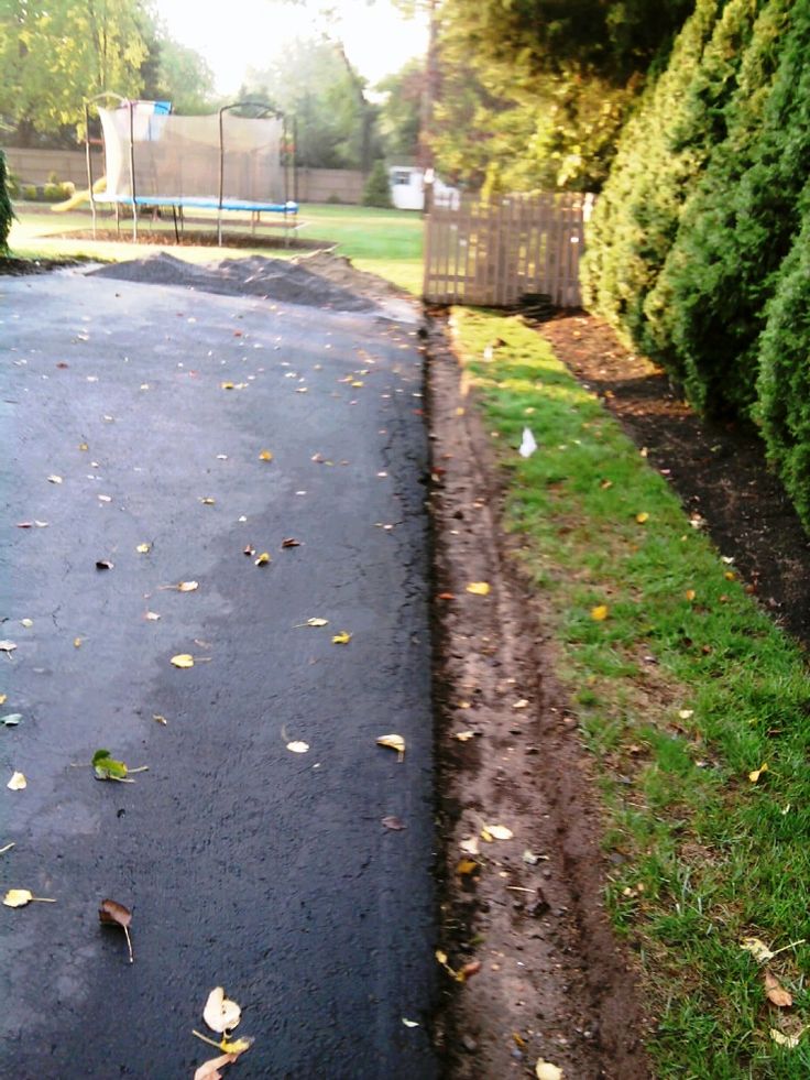 a fire hydrant sitting on the side of a road next to a lush green park