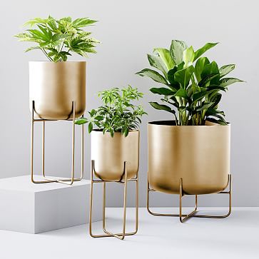 three gold planters with plants in them sitting on a white surface next to each other