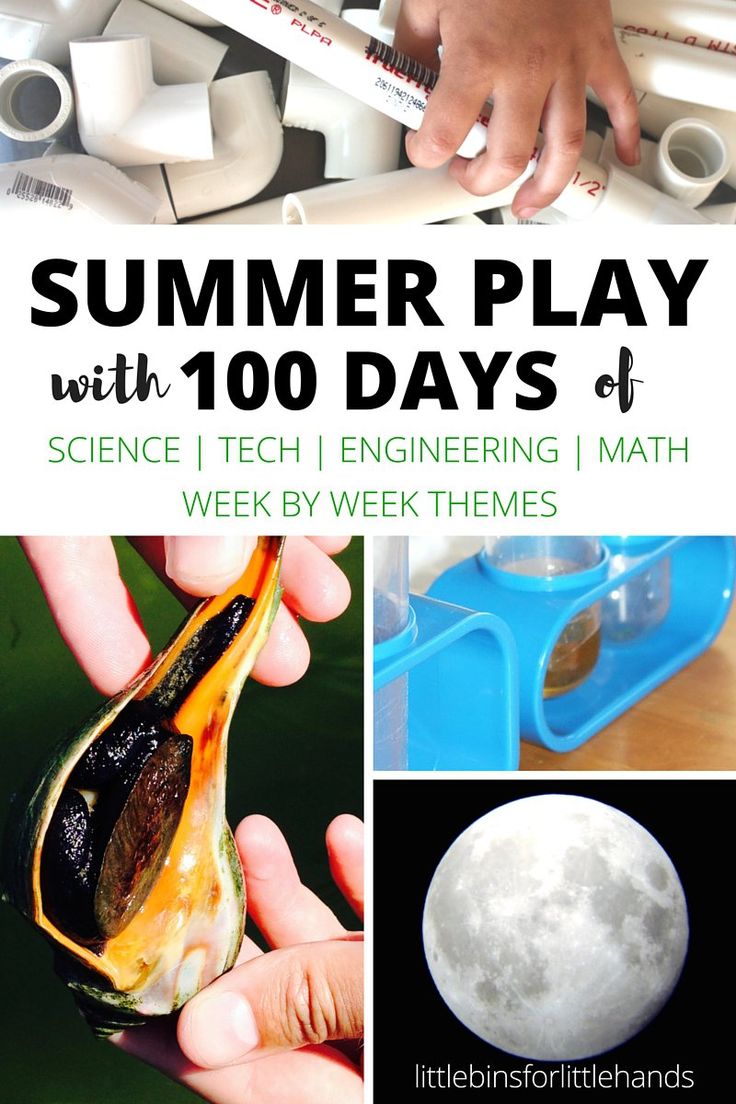 there is a book cover with images of different things in the background and text that reads summer play with 100 days of science