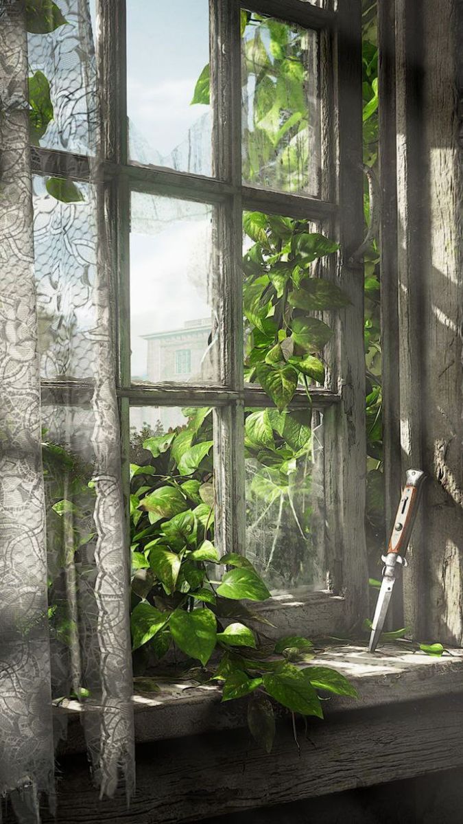 an old window with plants growing out of it and a knife stuck in the window sill