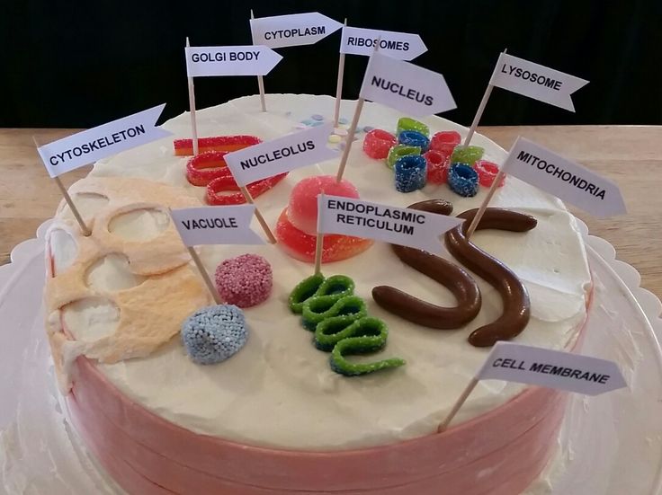 a cake with lots of different foods on it