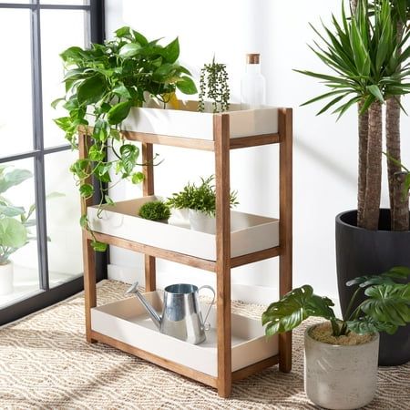 a plant stand with potted plants and watering utensils