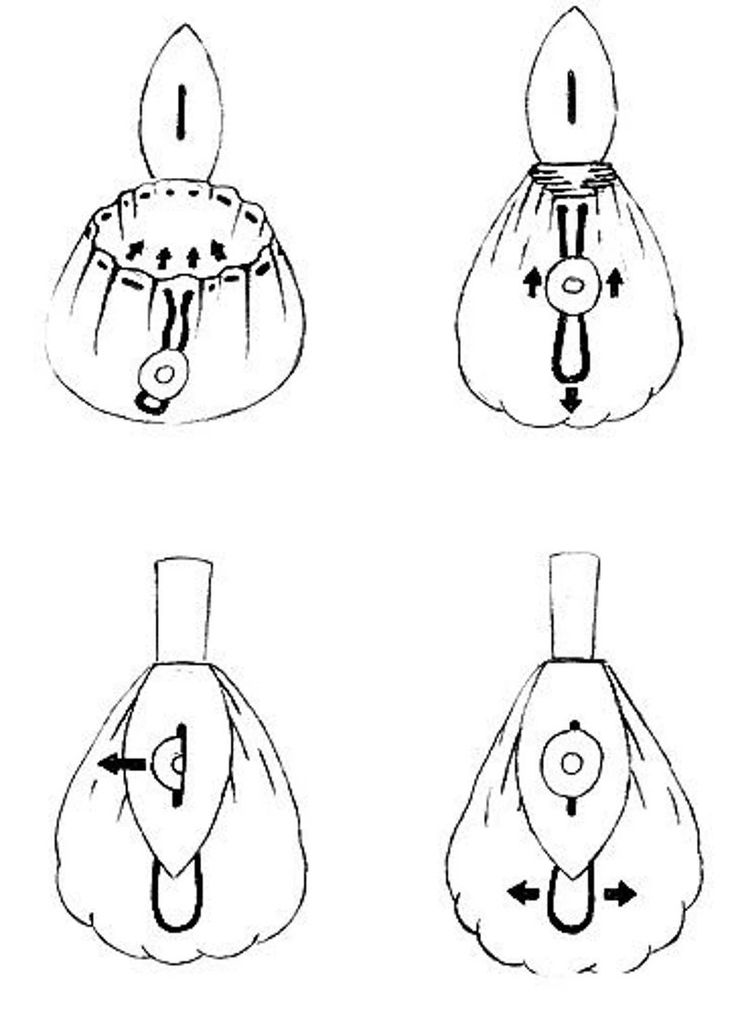 how to draw purses step by step with pictures for beginners and advanced drawing