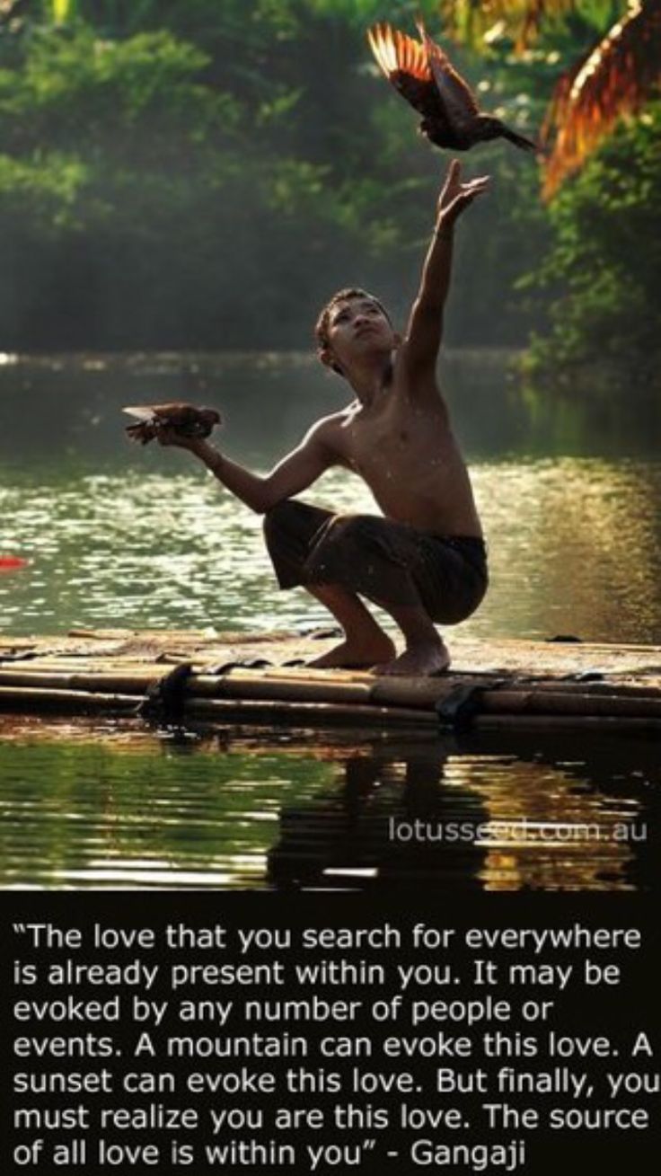 a man kneeling down with a bird on his hand and a quote about love that reads, the love that you search for everywhere is revealed by any number of people