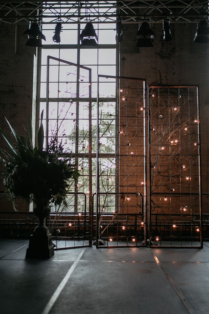 an empty room with large windows and lots of lights on the wall, along with plants