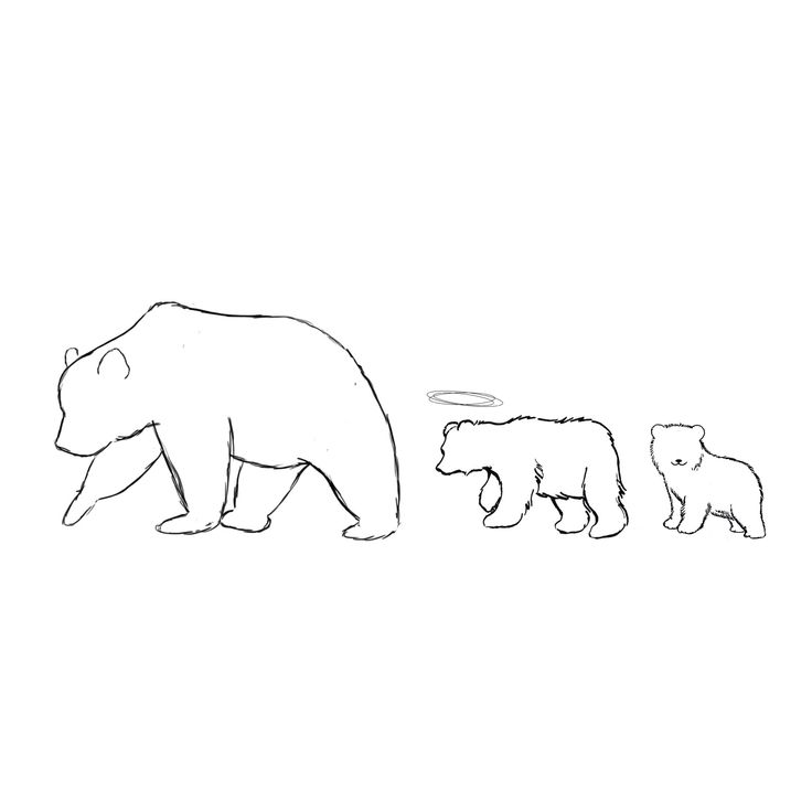 an adult bear and two baby bears are shown in this black and white drawing on paper