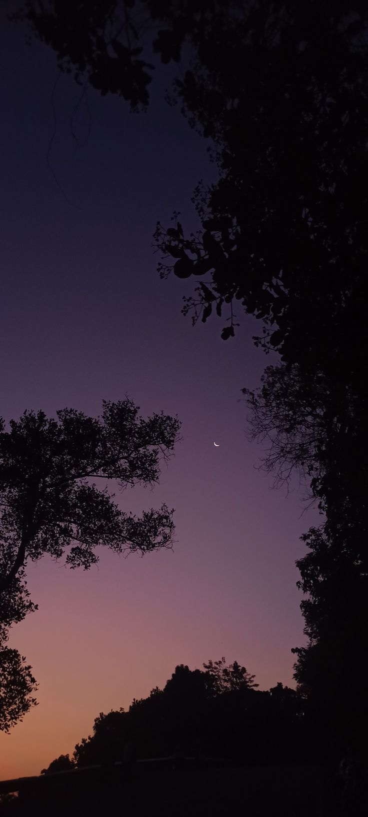 the sun is setting behind some trees