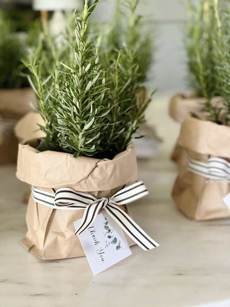 two small potted plants are wrapped in brown paper