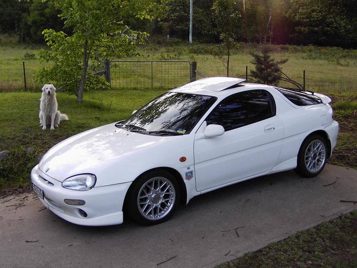 a white sports car parked in front of a dog