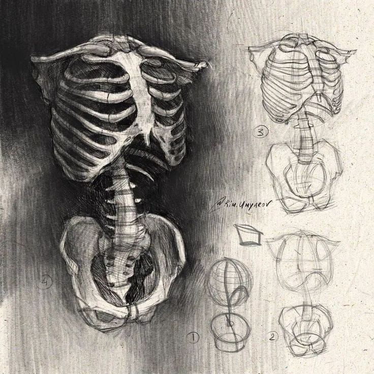 an image of a drawing of a human skeleton with different angles to it's body