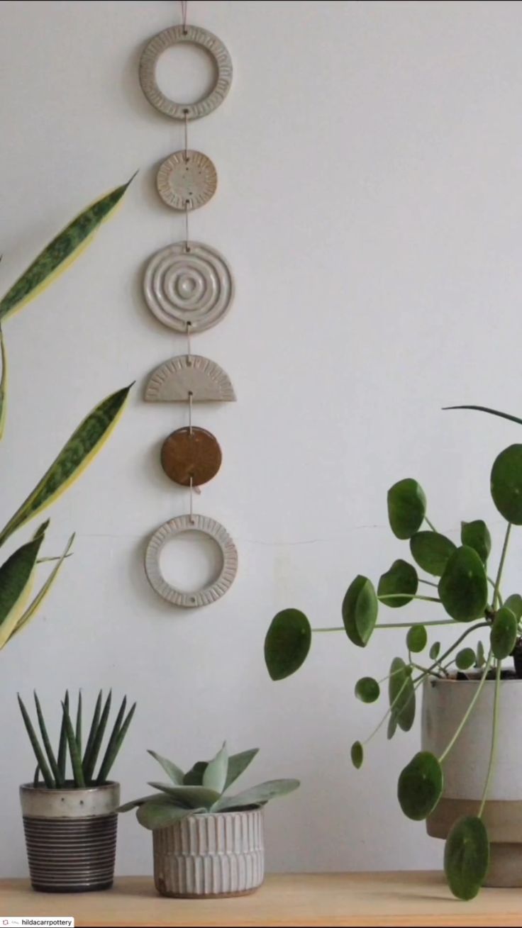 some plants are sitting on a table next to a wall hanging with circles and rings