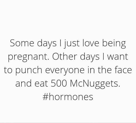 some days i just love being pregnant other days i want to punch everyone in the face and eat 500 mcnuggets