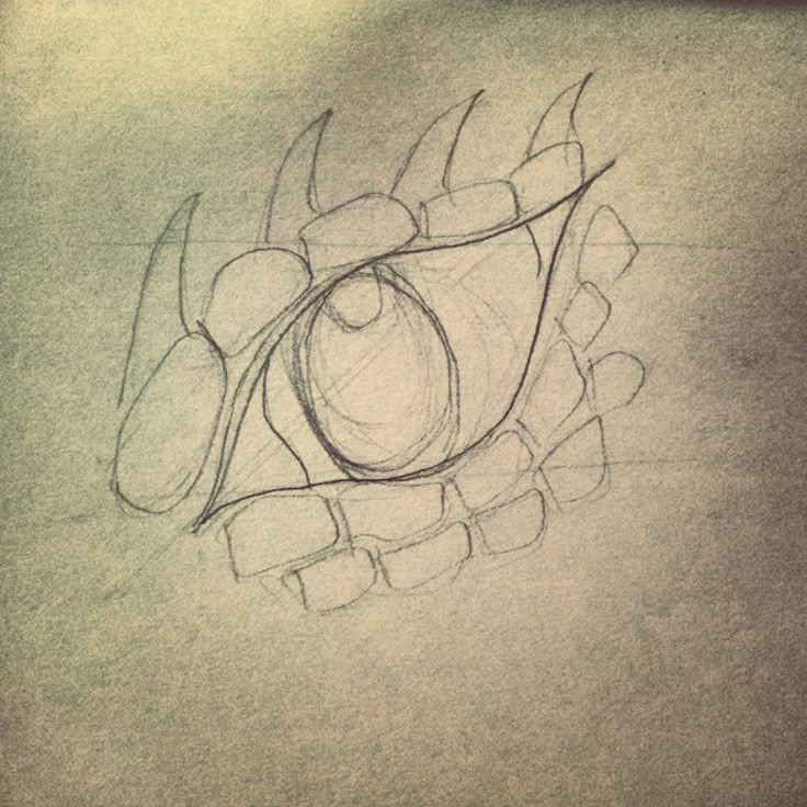 a pencil drawing of an eyeball in the shape of a dragon's head