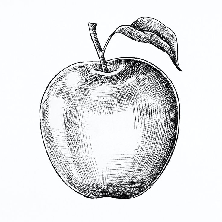 an apple with a leaf on the top and one side is drawn in black ink