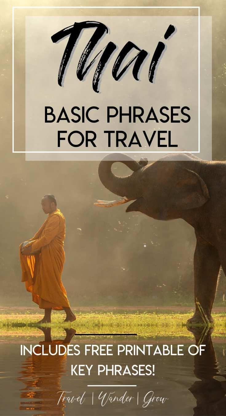 an elephant standing next to a man in the water with text overlay that reads thai basic phrases for travel includes free printable of key phrases