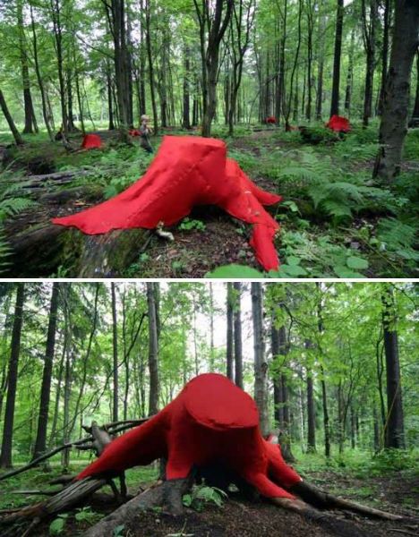 two pictures of a red object in the middle of a forest with trees and grass