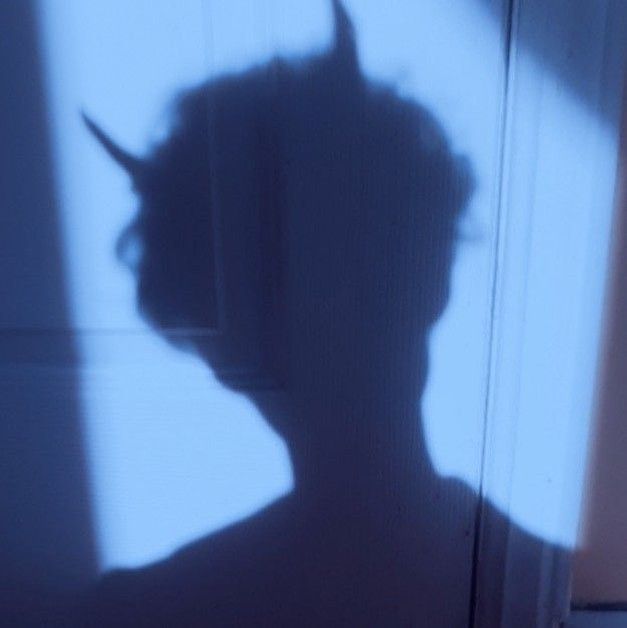 the shadow of a person's head on a door