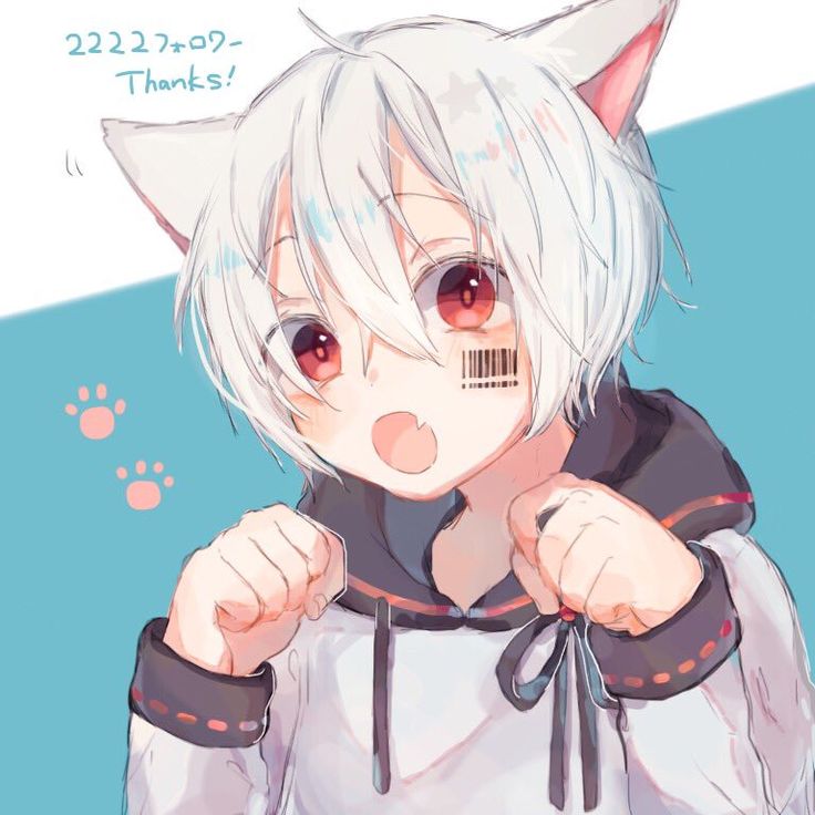 an anime character with white hair and red eyes wearing a cat ears outfit, standing in front of a blue background