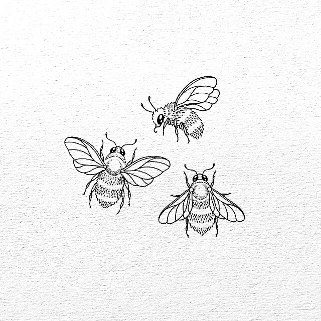 three bees flying in the air