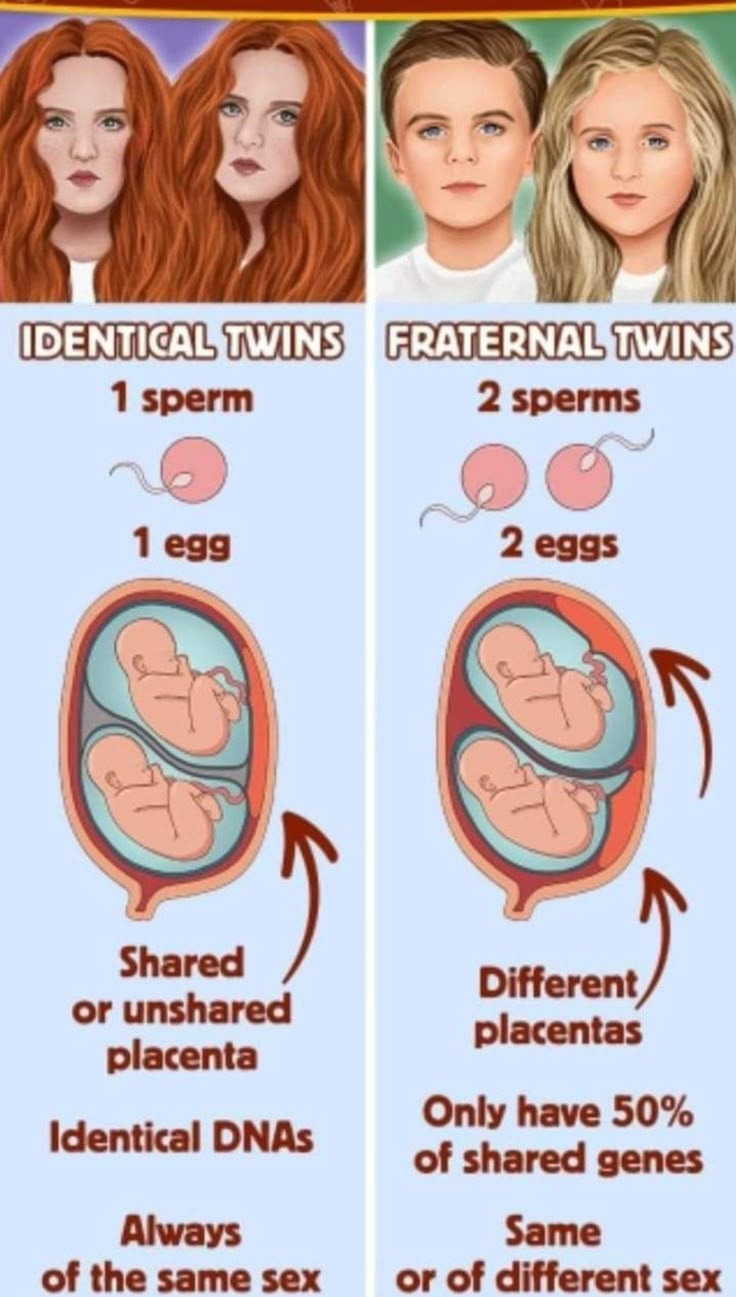 the differences between female and male twins in different stages of birth, from baby to adult