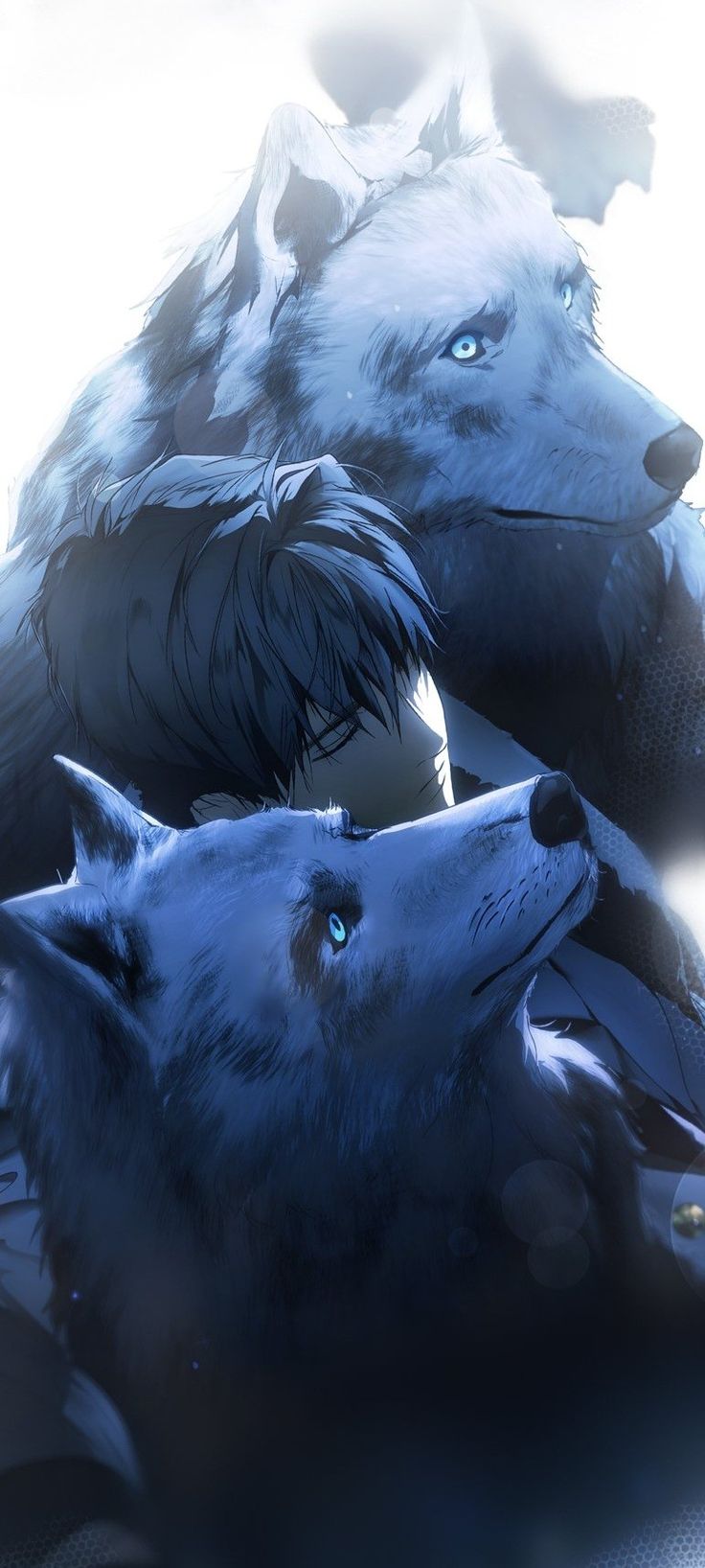 two white wolfs with blue eyes sitting next to each other