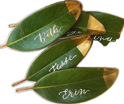 three green leaves with names on them are shown in white writing and gold trimmings