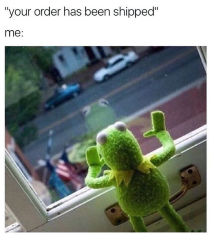 a stuffed frog sitting on top of a window sill with the caption, your order has been shipped me