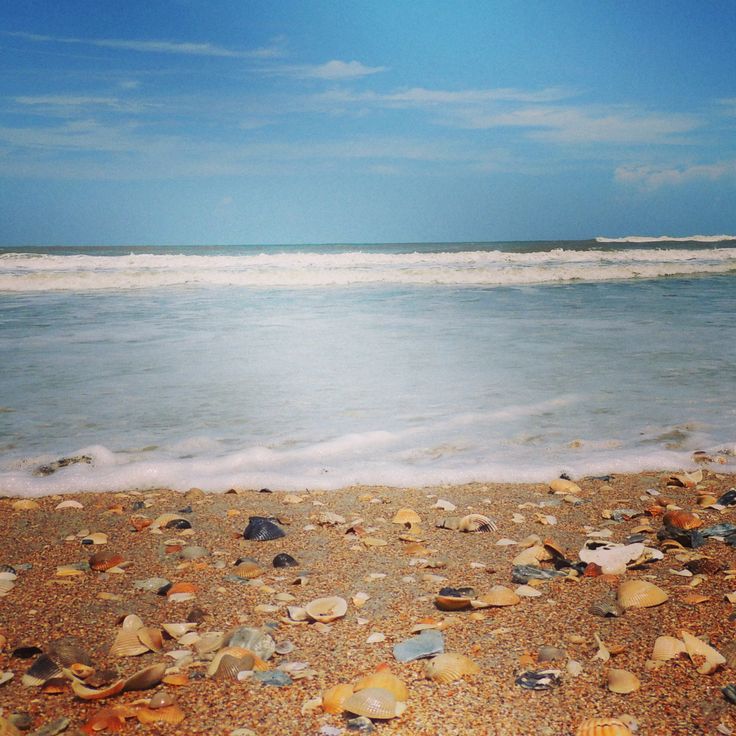 the beach is littered with shells and other things to see in the water, under a partly cloudy blue sky