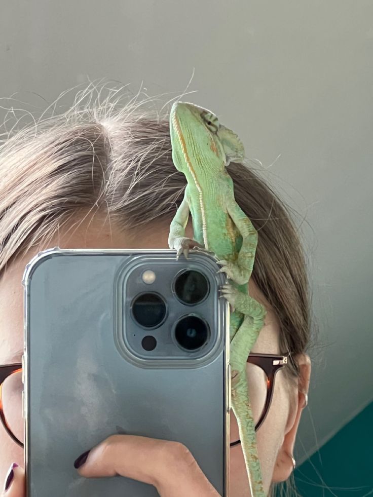 a woman taking a selfie with her cell phone and a lizard on her head